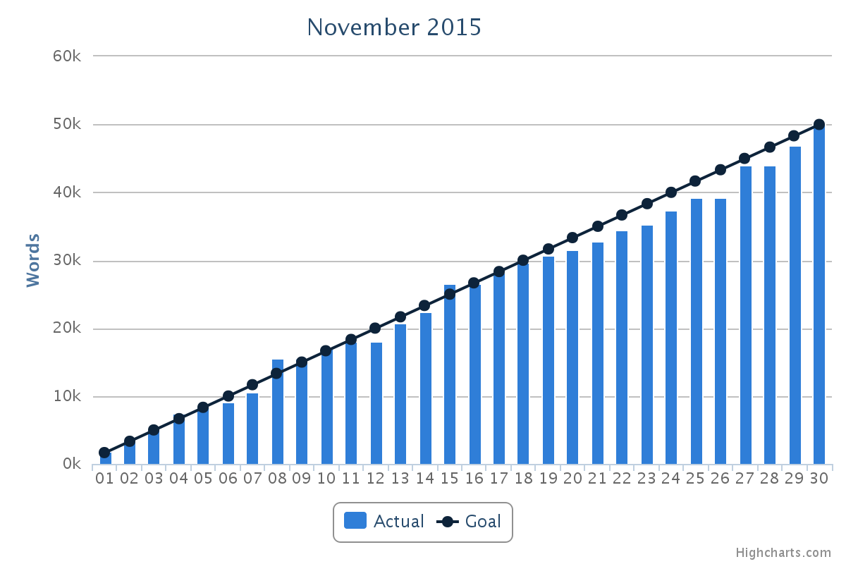 National Novel Writing Month in Perspective